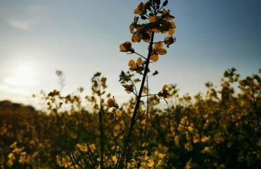 Villa Carmen - Foto 20