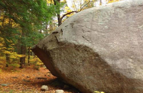 Cozy in the Woods - Foto 31