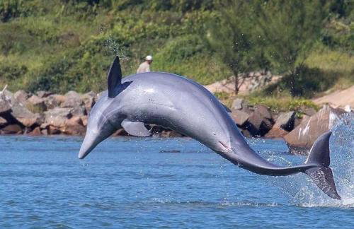 Resid. Clube Mar Grosso - Laguna - LAG100 - Photo 44