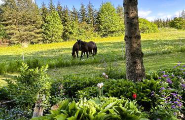 Masuria Hut - Foto 25