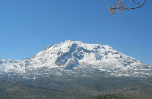 La Casa de la Tercia - Foto 13