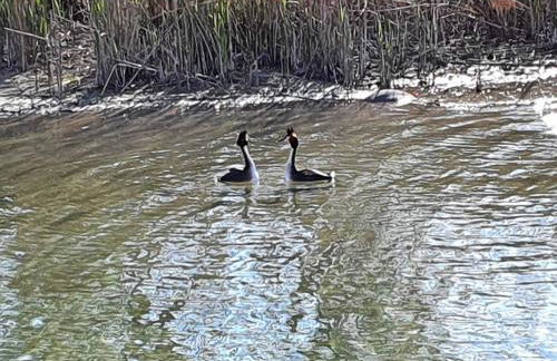 seeglueck SEEGOLD - Moderne Maisonette-Wohnung mit Balkon und Parkplatz in Seenähe in Konstanz-Dingels-Dorf - Foto 34