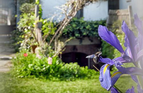 Apartamentos La Solana de Monfragüe - Foto 80