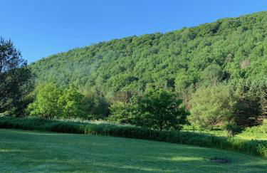 The Maples Apt - King Bed, Pet Friendly, Beautiful Views - Foto 20