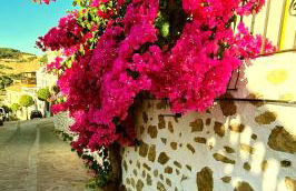 Preciosa casa de pueblo entre Ronda y Setenil La Posada de Catalina - Foto 49