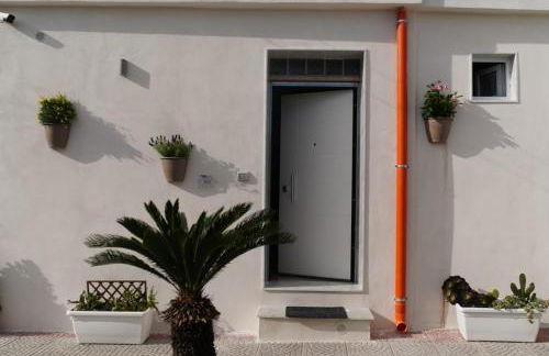 Vesuvio Home Capodichino Blu - Photo 50