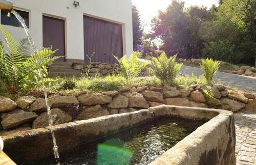 Ferienwohnung Waldhauser - Foto 9