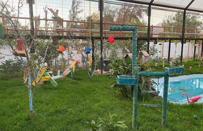 Parcela Los Nonos - Foto 11