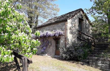 Ca' d'Alfieri - Photo 16