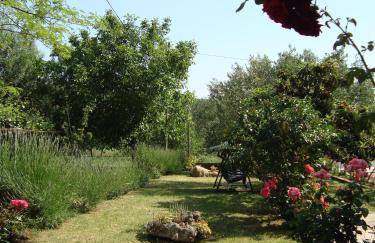 Apartment Pasman 14788c - Foto 8