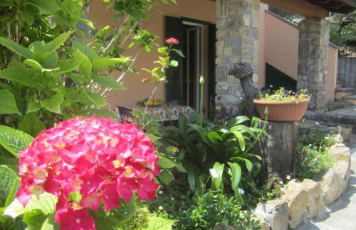 Agriturismo Turlin - Foto 29