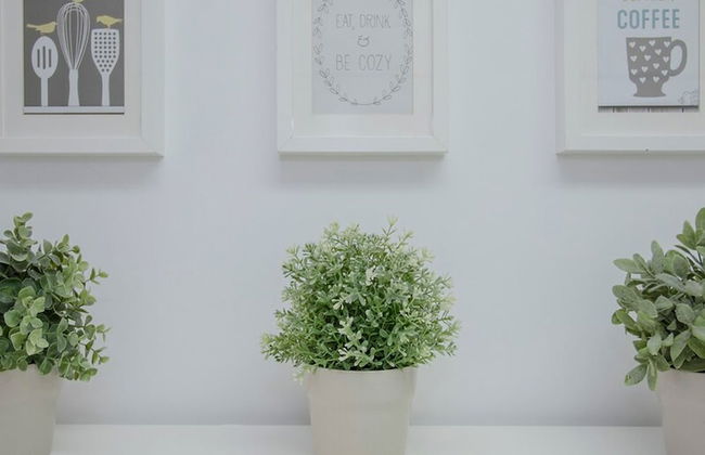 Liiiving in Porto Balcony Drag o View - Foto 23