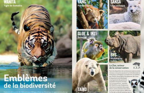 Gîte La Terrasse du Loir à 2km du Zoo de la Flèche - Photo 59