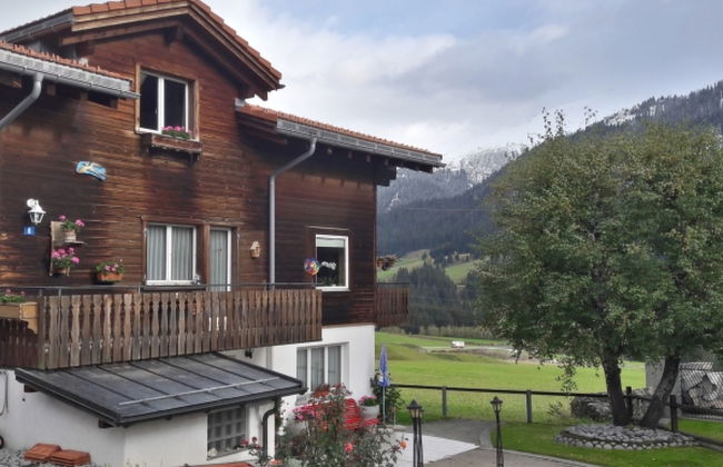 XXXTgèsa Hirundella - Foto 3