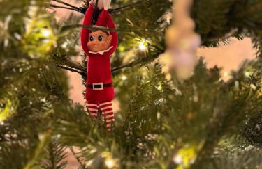 Le Grand Nichoir de la Colline - Parking - Wifi - Foto 37