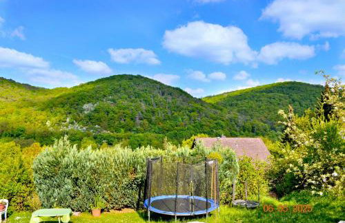 Ferienwohnung Rehberge - Foto 31