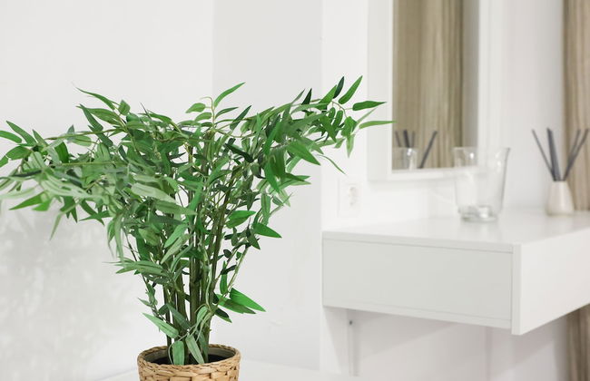 PS House Kimolos - PS Rental - Foto 40