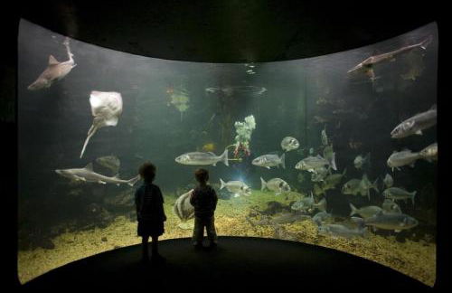 Seiriol at Llanfair Hall - Foto 25