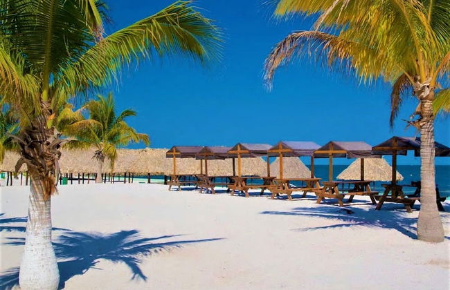 Kaeli's Caribbean Studios - Photo 62