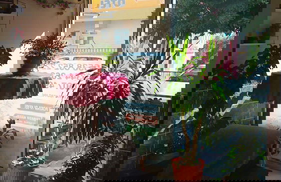 Naz Yilmaz Apart Otel - Photo 2