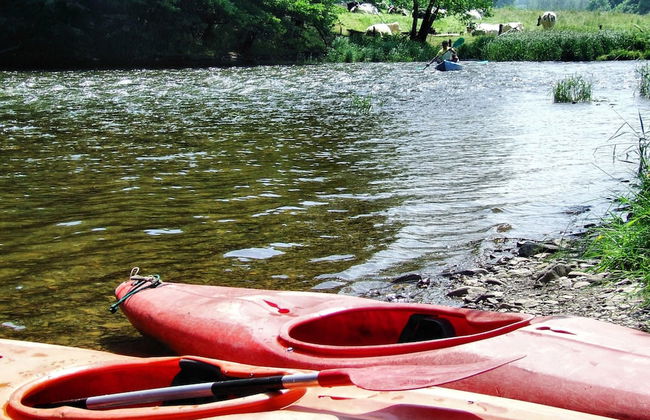 Relaxing Chalet in Dochamps With Swimming Pool and Terrace - Foto 12