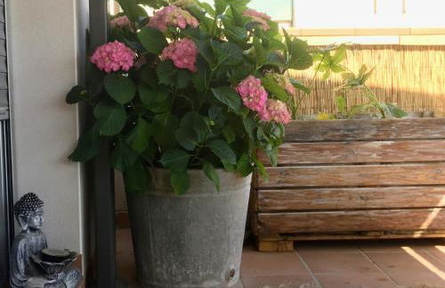 La terrasseta - Foto 11