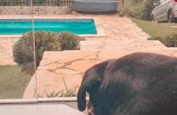 Casa para relaxar, estilosa, privativa e pet friendly - Foto 21