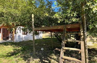 Associação Quinta das Relvas - Foto 35