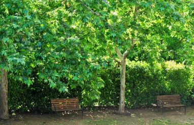 Masia El Canalot - Molí Del Pont - Foto 42