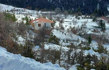 Tsigaridas Mountain Home - Foto 73