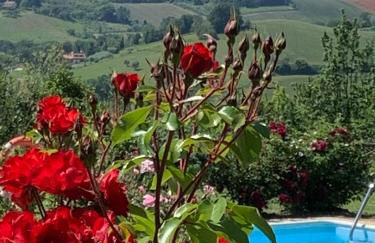 Agriturimo Cà Dorale - Foto 16