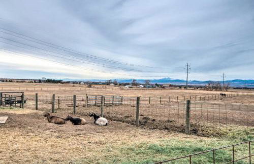 Lovely Barn Loft with Mountain Views on Horse Estate - Foto 27