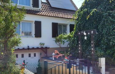 Studio Colmar avec jardin privatif - Foto 19