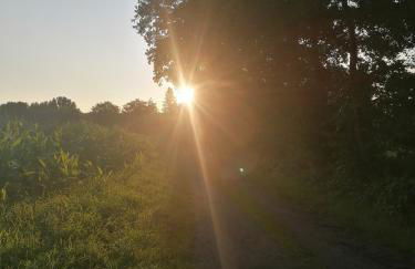 Casa Foresta - minimalistisches 1-Raum Tiny House direkt am Wald - Foto 10