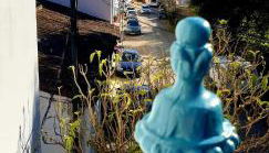 La Flor De La Xara - Foto 2