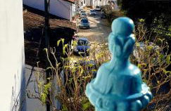 La Flor De La Xara - Foto 2