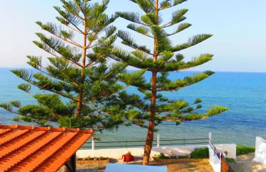 Frosso's Sea Apartments - Foto 47