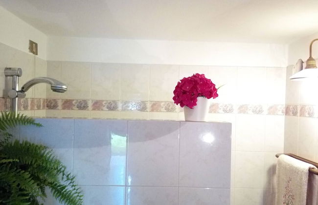 Comfortable House - Garden and Parking - Photo 14