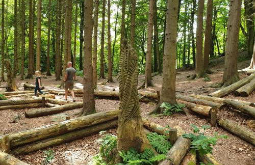 Bwthyn Bach (Tiny Cottage) - Foto 13