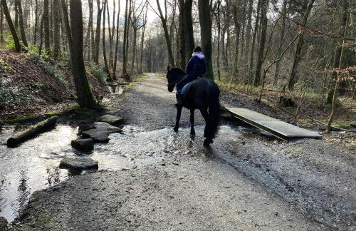Ferienwohnung im Grünen mit Balkon - Foto 42