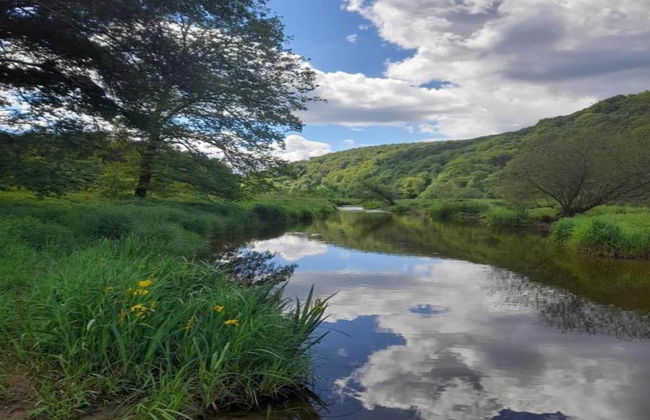 Holiday Home in Membre With Garden - Foto 34