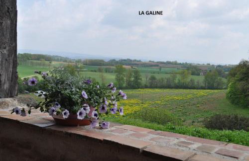 Domaine Puy Saint Jammes - Foto 10