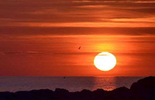 Chalet Tango - Foto 40