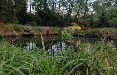 Sielskie Klimaty - Foto 10