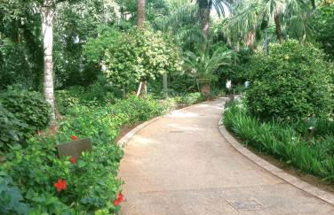 CENTER Santa Cruz, Alojamiento céntrico con gran terraza, cocina , salón y baños, todo privado - Foto 48