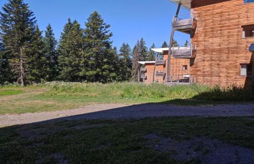 Chamrousse 1700 - Asters A03 - Rez de Jardin, Piscine, Sauna, Terrasse plein sud - Foto 10