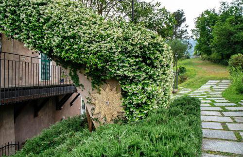 Il Giardino del Sole - Rosmarino - Foto 30