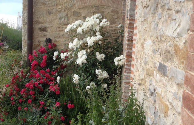 Residenzia del Sogno - Foto 49