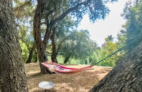 Black Olive Cottage Paramonas - Foto 7