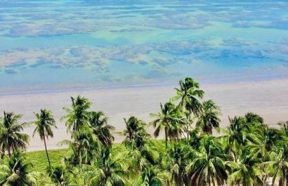 Mani Japaratinga - Foto 27